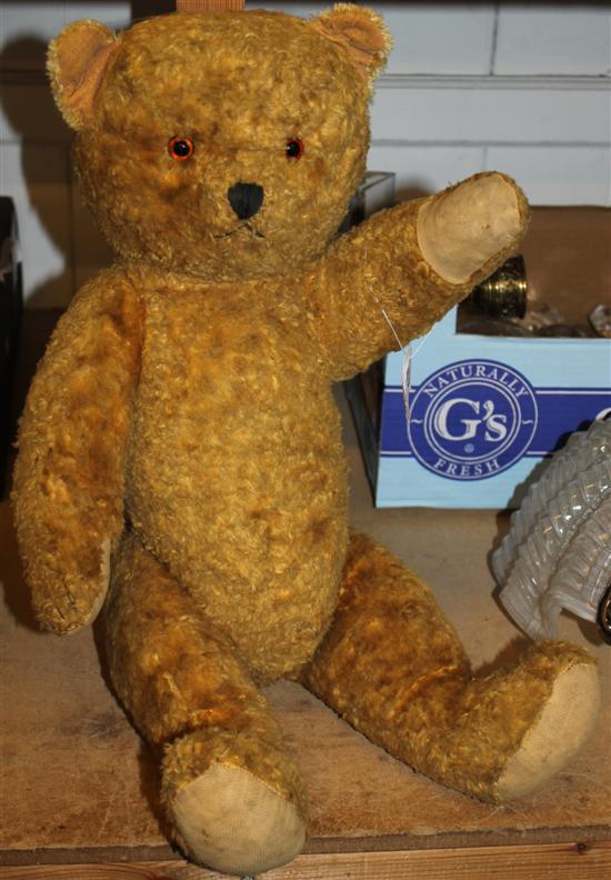 Gold plush teddy bear(-)